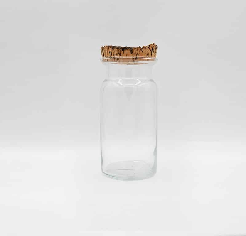 Vaso-Milk-piccolo-glass-life-c terrarium personalizzato