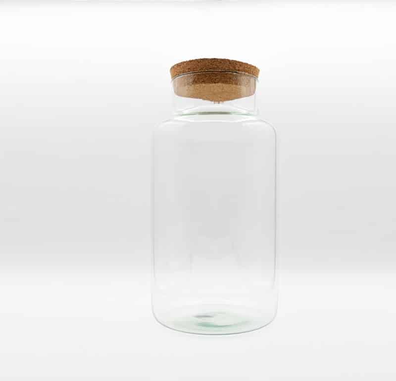 vaso-cork-grande-glass-life terrarium personalizato