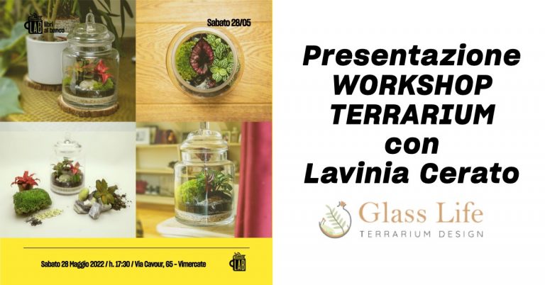 Terrarium Workshop glass life